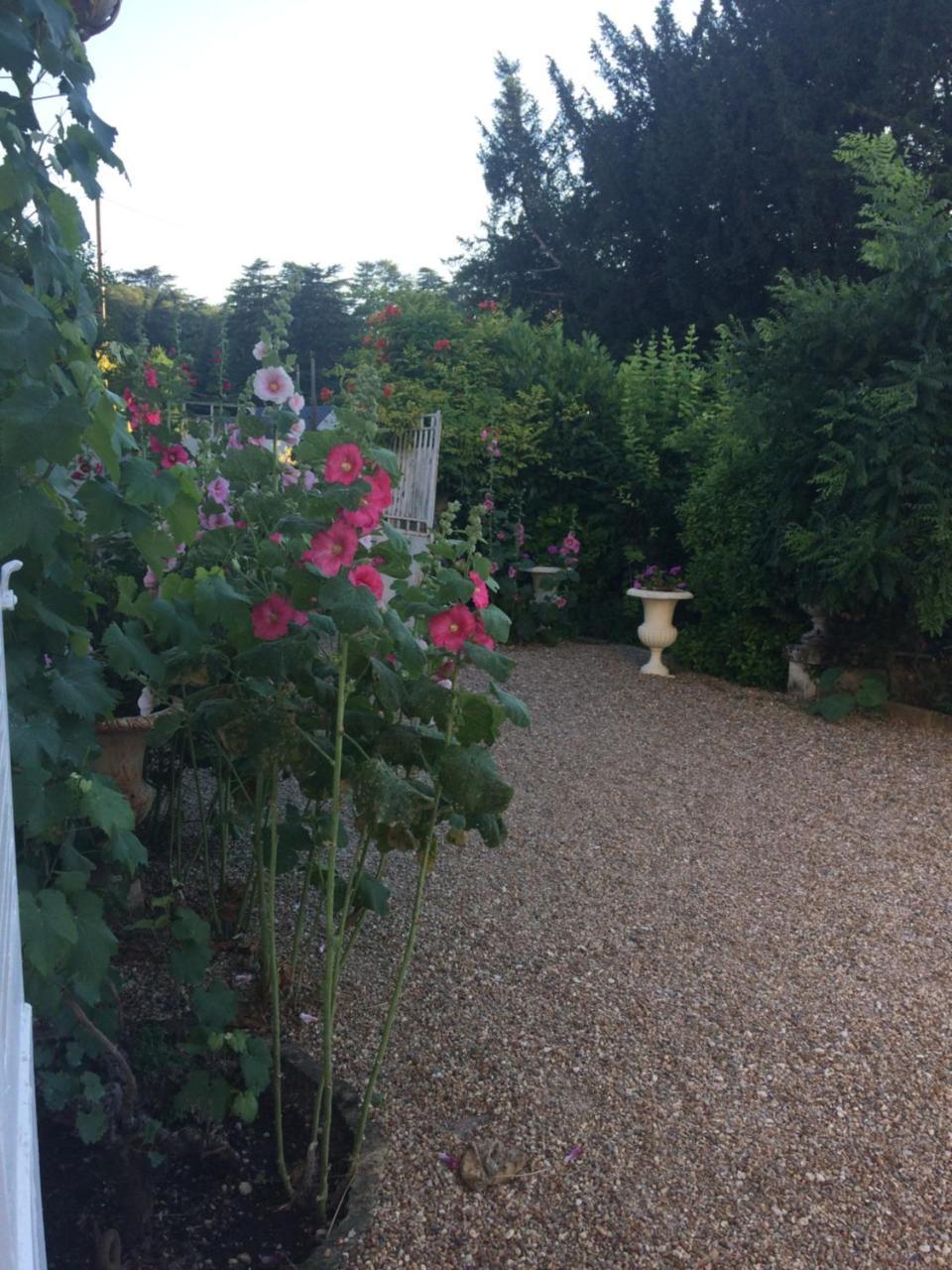 Le Clos Mademoiselle Loches Eksteriør billede