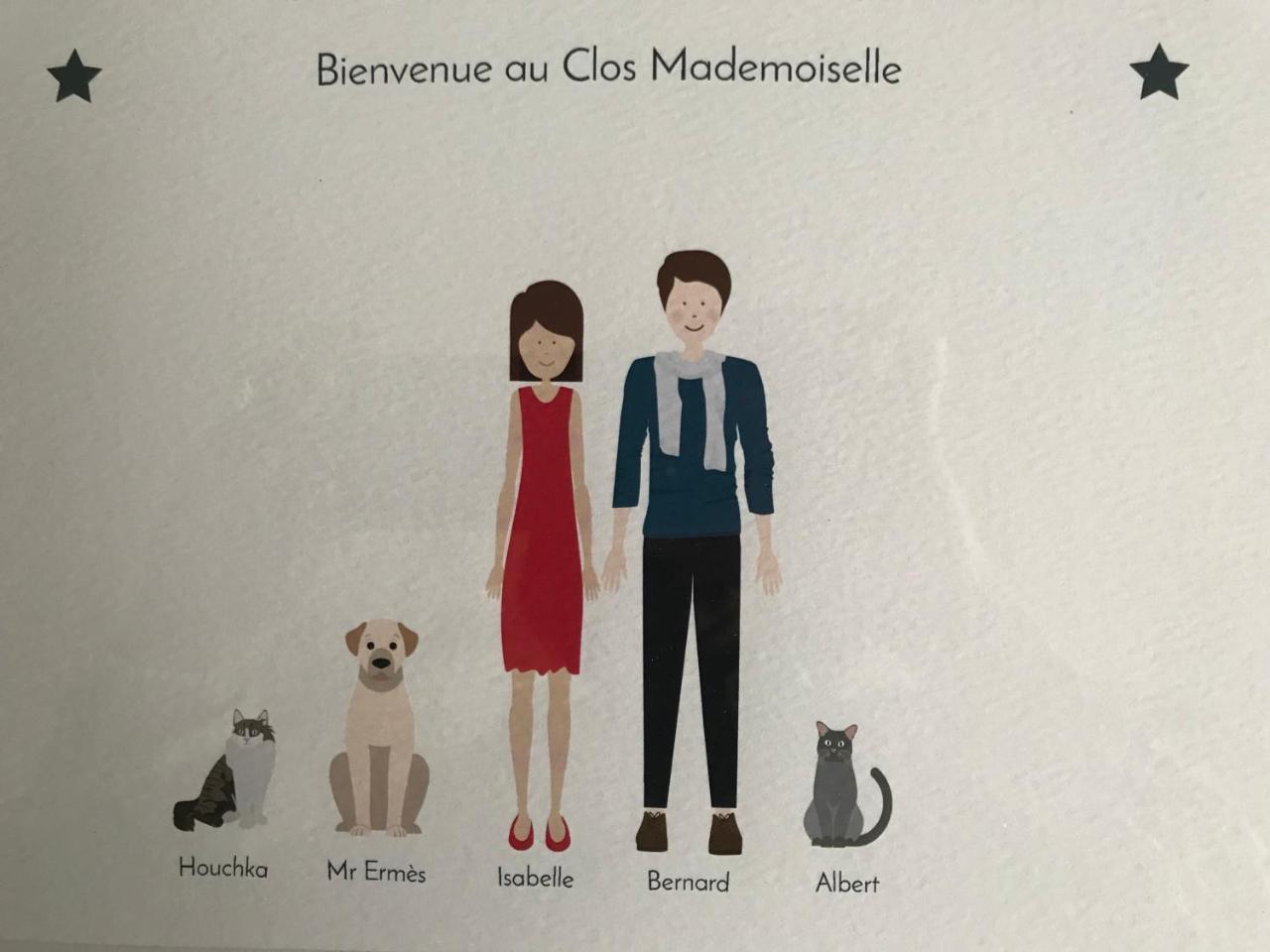 Le Clos Mademoiselle Loches Eksteriør billede